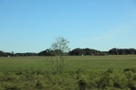 2018-04-30_11-47-39_2017-10-25 09.08.30.jpg