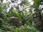 16303IMG_5076.JPG