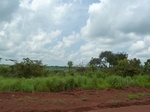 19772P1010621.JPG