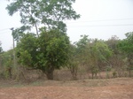 3903RIMG0207.JPG