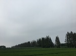 2017-09-10_20-48-52_A0F1B02E-41E6-4EAE-8A99-B04805D80B6C.jpg