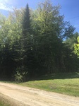 2017-05-28_09-23-50_236319A9-D8B5-4547-8715-841B606031F4.jpg