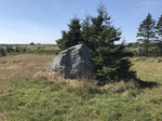 2018-09-04_12-19-20_6B997F5A-C05C-448A-85FF-59128779BA97.jpg