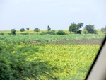 56200CIMG6917.JPG