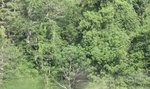 2022-06-11_16-04-26_E84DFA98-77A4-46AF-A8CB-49D585611301_1_201_a.jpeg