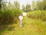 6558gt058-cropland-1.jpg
