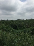 2017-09-12_12-56-25_349F1F9D-9BEF-46CD-B007-E3382E584574.jpg