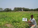 6140017b-irrigated-supplemental(groundwater-open-wells)-tobacco-vegetables-orchards.jpg