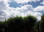 5560100_0950.JPG