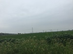2017-09-10_20-42-00_69479B35-69C0-4451-8B55-85B94C8B2659.jpg