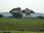 18890P1000732.JPG