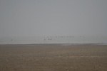 4122IMG_8757.JPG