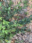 2020-10-01_09-31-41_F09965C7-AFFA-4333-B2FF-67EEDB37B917.jpg
