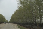 2017-05-12_17-38-05_2017-05-05 18.05.06.jpg