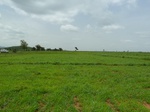 18844P1000684.JPG