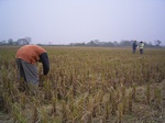 43462007.10.31.st4.JPG