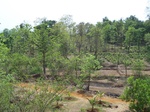 1729520042008(78).JPG
