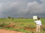 7985gt98b_cropland_grains.jpg