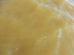 2012-09-21_14-26-47_CIMG0080.JPG