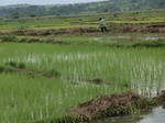 2012-09-07_10-01-29_CIMG6615.JPG