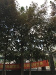2017-09-12_12-38-39_3C8E4977-5935-42CC-8E74-1099D0203E7F.jpg