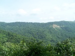 17531100_2792.JPG