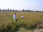 4682RIMG0127.JPG