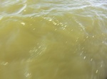 2012-09-21_14-27-13_CIMG0017.JPG