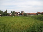 15534IMG_4604.JPG