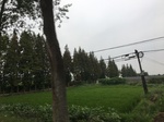 2017-09-12_10-23-56_4D186540-521E-4CF2-BE4F-52BF26CB41B1.jpg