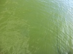 2012-09-21_14-26-13_CIMG3108.JPG