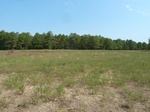 40390P1070904.JPG