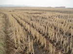 8500IMG_0325.JPG