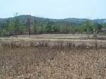 1728920042008(71).JPG