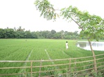 16022IMG_4754.JPG
