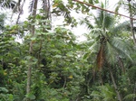 16333IMG_5111.JPG