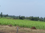 488102052008(75).JPG