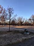 2020-12-10_07-55-26_2020-12-10-7-54-57.jpg