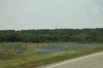 2022-06-11_15-46-11_46E809DC-028E-4DE6-9173-1C03298536B5.jpeg