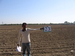 8014023-Farm land (Surface water) Winter wheat-b.jpg