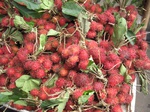 15785IMG_4874.JPG