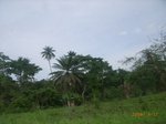 3725RIMG0028.JPG