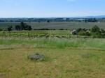 2020-05-28_13-09-15_2020-05-27_Erratic_RockS.JPG