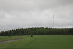 2018-04-14_14-18-50_2017-06-12 06.45.20.jpg