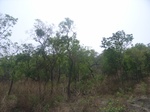 4018RIMG0322.JPG