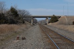 10138Field Survey 1 027.JPG
