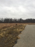 2018-02-19_17-31-41_5973C34A-38E5-4F3C-B6F9-4E47DBD6F520.jpg