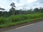 20174P1020026.JPG