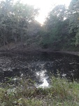 2020-10-06_18-49-41_20201006_180801.jpg