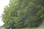 2022-06-11_18-08-05_1CB07558-6153-460A-BAB6-6301014C8D3C.jpeg